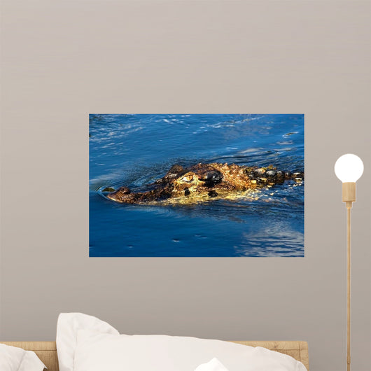 Black Caiman Lurks Water Wall Decal