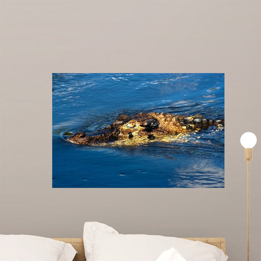Black Caiman Lurks Water Wall Decal