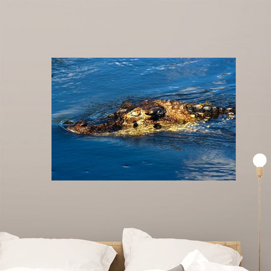 Black Caiman Lurks Water Wall Decal