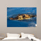 Black Caiman Lurks Water Wall Decal