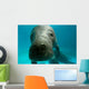 Headshot Amazon Manatee Wall Decal