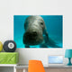 Headshot Amazon Manatee Wall Decal