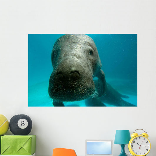 Headshot Amazon Manatee Wall Decal