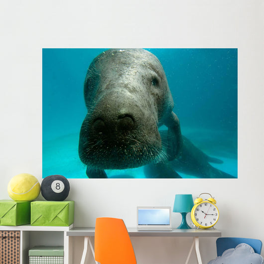 Headshot Amazon Manatee Wall Decal