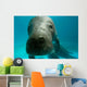 Headshot Amazon Manatee Wall Decal
