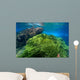 Green Algae Atlantic Ocean Wall Decal