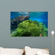 Green Algae Atlantic Ocean Wall Decal