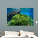 Green Algae Atlantic Ocean Wall Decal