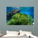 Green Algae Atlantic Ocean Wall Decal