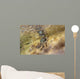 Tidal Crab Crawling over Wall Decal