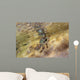 Tidal Crab Crawling over Wall Decal