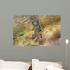 Tidal Crab Crawling over Wall Decal
