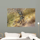 Tidal Crab Crawling over Wall Decal