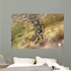 Tidal Crab Crawling over Wall Decal