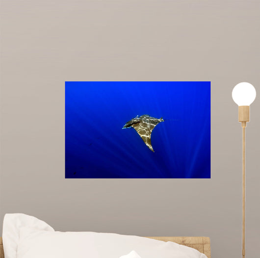 Sunlight Shining through Light Wall Decal Design 2