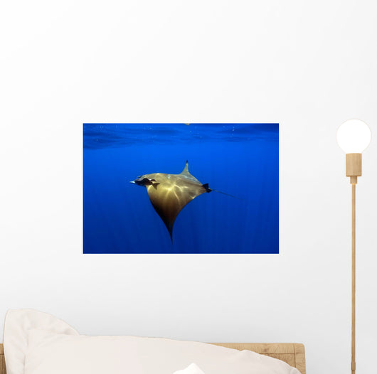 Sunlight Shining through Light Wall Decal Design 1