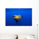 Sunlight Shining through Light Wall Decal Design 1