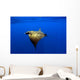 Sunlight Shining through Light Wall Decal Design 1