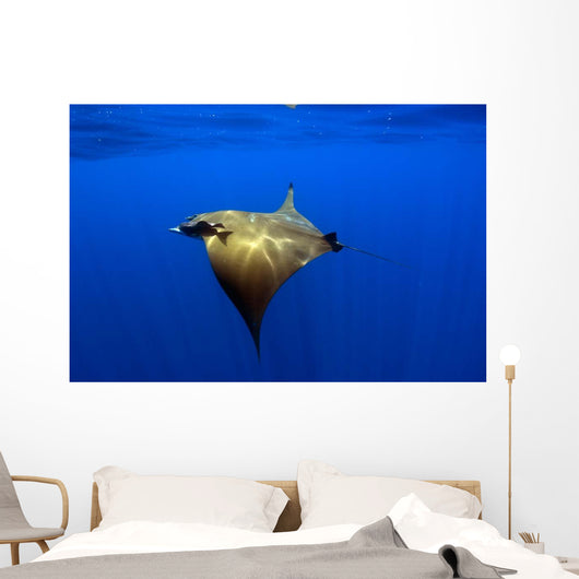Sunlight Shining through Light Wall Decal Design 1