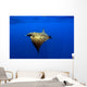 Sunlight Shining through Light Wall Decal Design 1