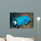 Queen Angelfish Wall Decal