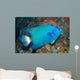Queen Angelfish Wall Decal