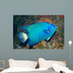 Queen Angelfish Wall Decal