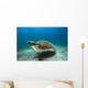 Green Sea Turtle Brazil Wall Decal