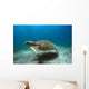Green Sea Turtle Brazil Wall Decal