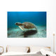 Green Sea Turtle Brazil Wall Decal