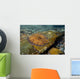 Flounder Bothus Lunatus Brazil Wall Decal