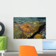 Flounder Bothus Lunatus Brazil Wall Decal