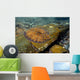 Flounder Bothus Lunatus Brazil Wall Decal