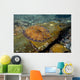 Flounder Bothus Lunatus Brazil Wall Decal