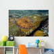Flounder Bothus Lunatus Brazil Wall Decal