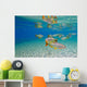 Characin Fish Brazil Wall Decal Design 6