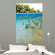 Characin Fish Brazil Wall Decal Design 5