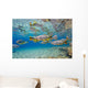 Characin Fish Brazil Wall Decal Design 3