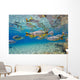 Characin Fish Brazil Wall Decal Design 3