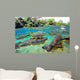 Characin Fish Brazil Wall Decal Design 2