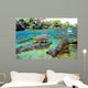 Characin Fish Brazil Wall Decal Design 2