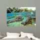 Characin Fish Brazil Wall Decal Design 2