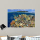 Digital Composite Tropical Coral Wall Decal