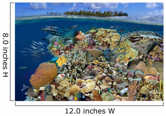 Digital Composite Tropical Coral Wall Decal