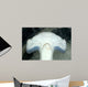 Head Detail Hammerhead Shark Wall Decal