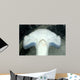 Head Detail Hammerhead Shark Wall Decal