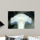 Head Detail Hammerhead Shark Wall Decal