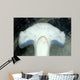 Head Detail Hammerhead Shark Wall Decal