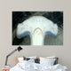 Head Detail Hammerhead Shark Wall Decal