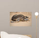 Green Sea Turtle Laniakea Wall Decal Design 2
